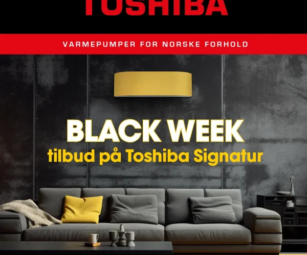 Toshiba Signatur 25 - Bilde 10